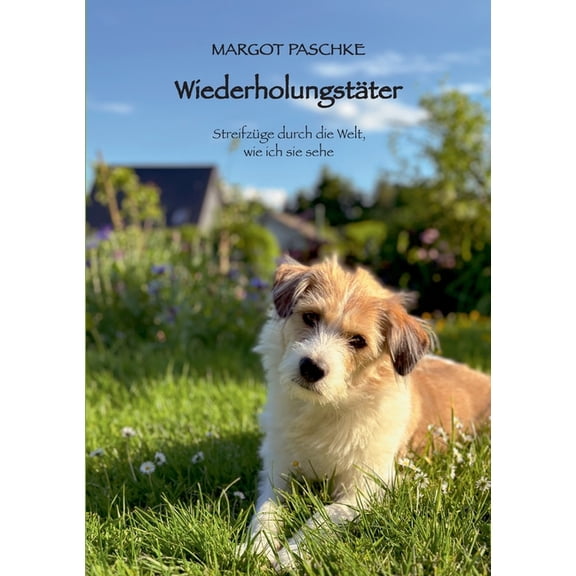 Wiederholungstäter, (Paperback)