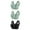 BlackXL Everyday Bras, variant on Iuhan Savings On Women's Bra, One Piece Bra Lace Bustier Comfort Womens Bralette Clothing Sexy ​​Autumn