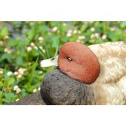 Hi-Line Gift Ltd. Mallard with Red Head