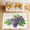 Multicolour 1, variant on CURLYOOT Grape Area Rugs for Living Room Bedroom, 4' 10" x 6' 8" Washable Rug, Purple Grape Floor Carpet with Non Slip Backing for Dining Room Indoor