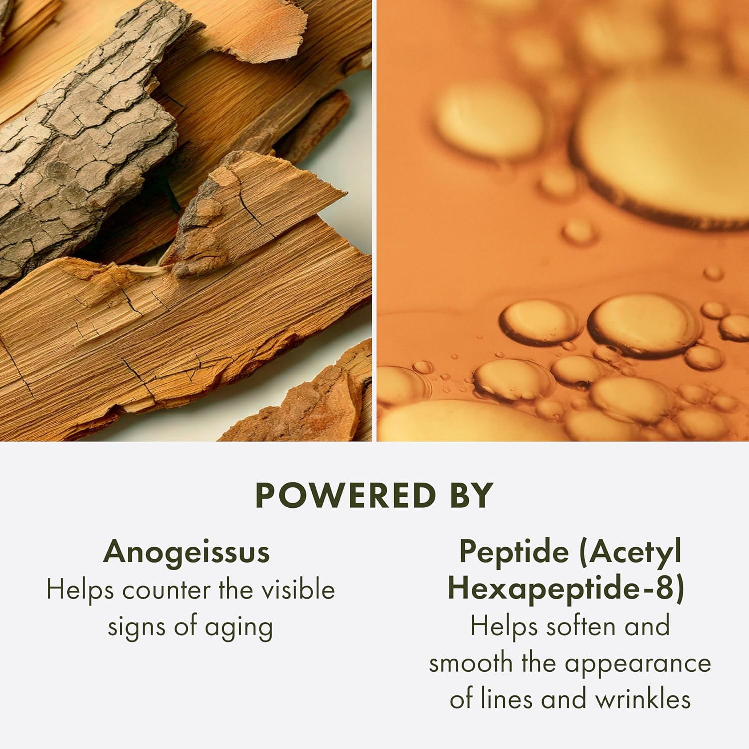 Origins Plantscription Anti-Aging Face Essence Toner * Smooths & Preps Skin  5oz 150ml