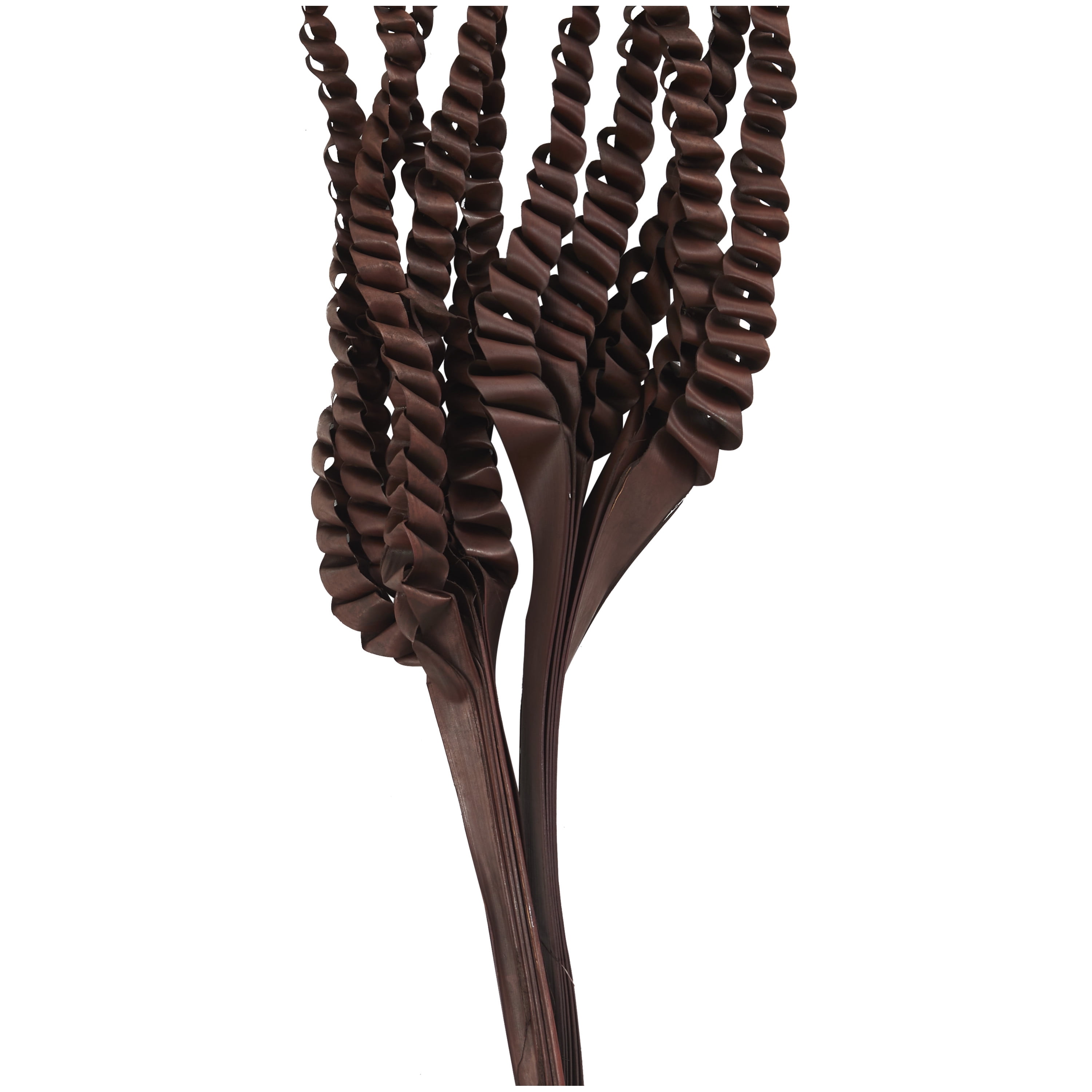30" Handmade Tall Five Finger Dried Plant Natural Foliage Palm Leaf Bouquet, by DecMode