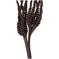 thumbnail image 4 of 30" Handmade Tall Five Finger Dried Plant Natural Foliage Palm Leaf Bouquet, by DecMode, 4 of 7