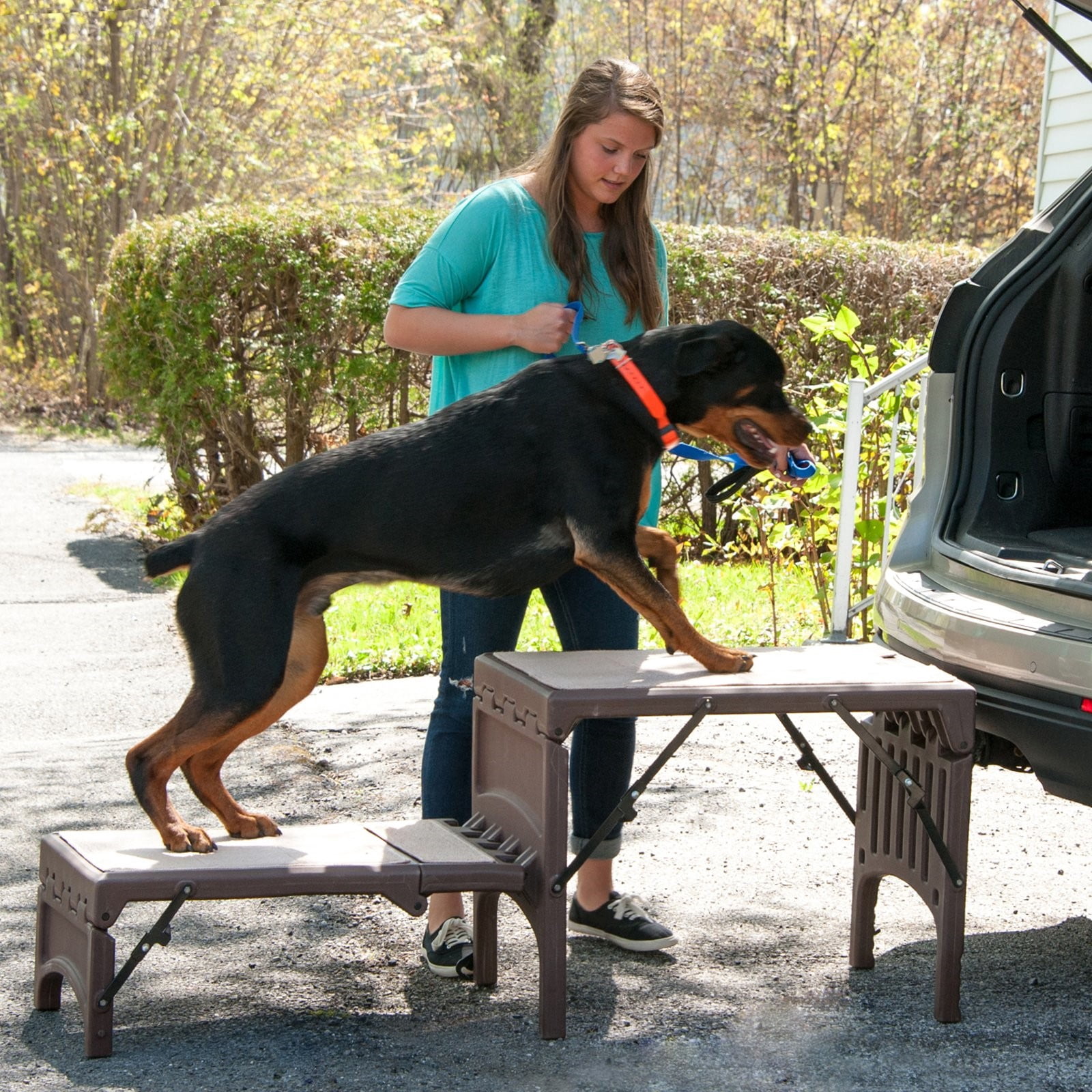 pet gear free standing pet ramp