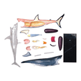 thumbnail image 3 of -Anatomy Model - Animal Anatomyical Model - 20 Detachable Organs and Body Parts Biology Medical Teaching Model, 3 of 7