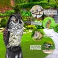 Photo inspiration: Aaymia Owl Decoys To Scare Birds Squirrels Away Rotating Head Photo Inspiration