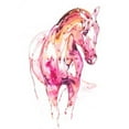 thumbnail image 3 of Chapman, Julie T. 15x18 Black Modern Framed Museum Art Print Titled - Garnet Horse III, 3 of 5