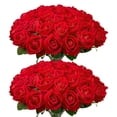 thumbnail image 1 of Flores artificiales Wondrus Bulk Velvet Silk Rosas rojas x50, 1 of 6