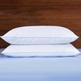 thumbnail image 1 of Puredown® Feather & Down Pillow Set of 2, 1 of 5