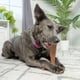 thumbnail image 5 of Juguete masticable para perros SPOT Bam-Bones Plus T Bone para masticadores agresivos, 5 of 6