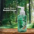 Scent Theory Foaming Hand Soap MADE WITH ESSENTIAL OILS 11 Fl Oz