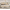 Beige, variant on Flolinda Twin Bed Frame with Charging Station Type-C & USB Ports Linen Upholstered Tufted Wingback Headboard, No Box Spring Needed Beige