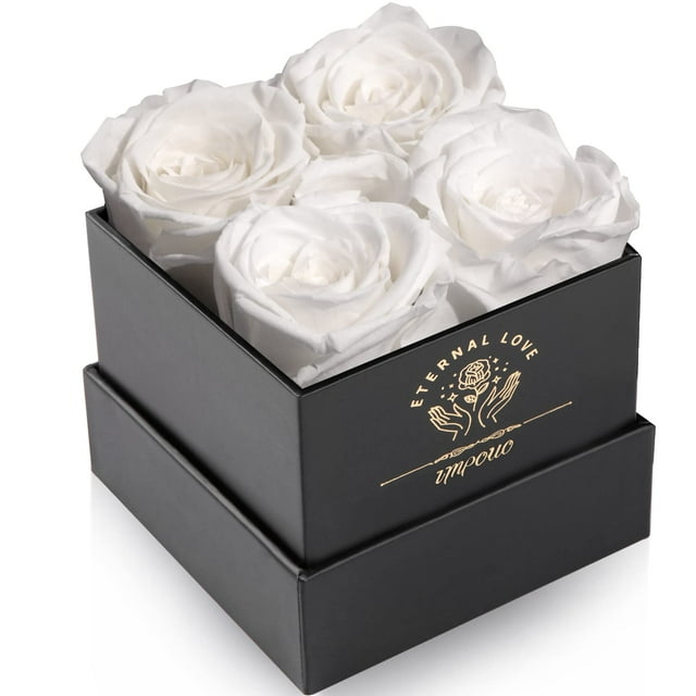 Rosa Preservada Impouo Blanco Regalo de Amor Eterno para Ella