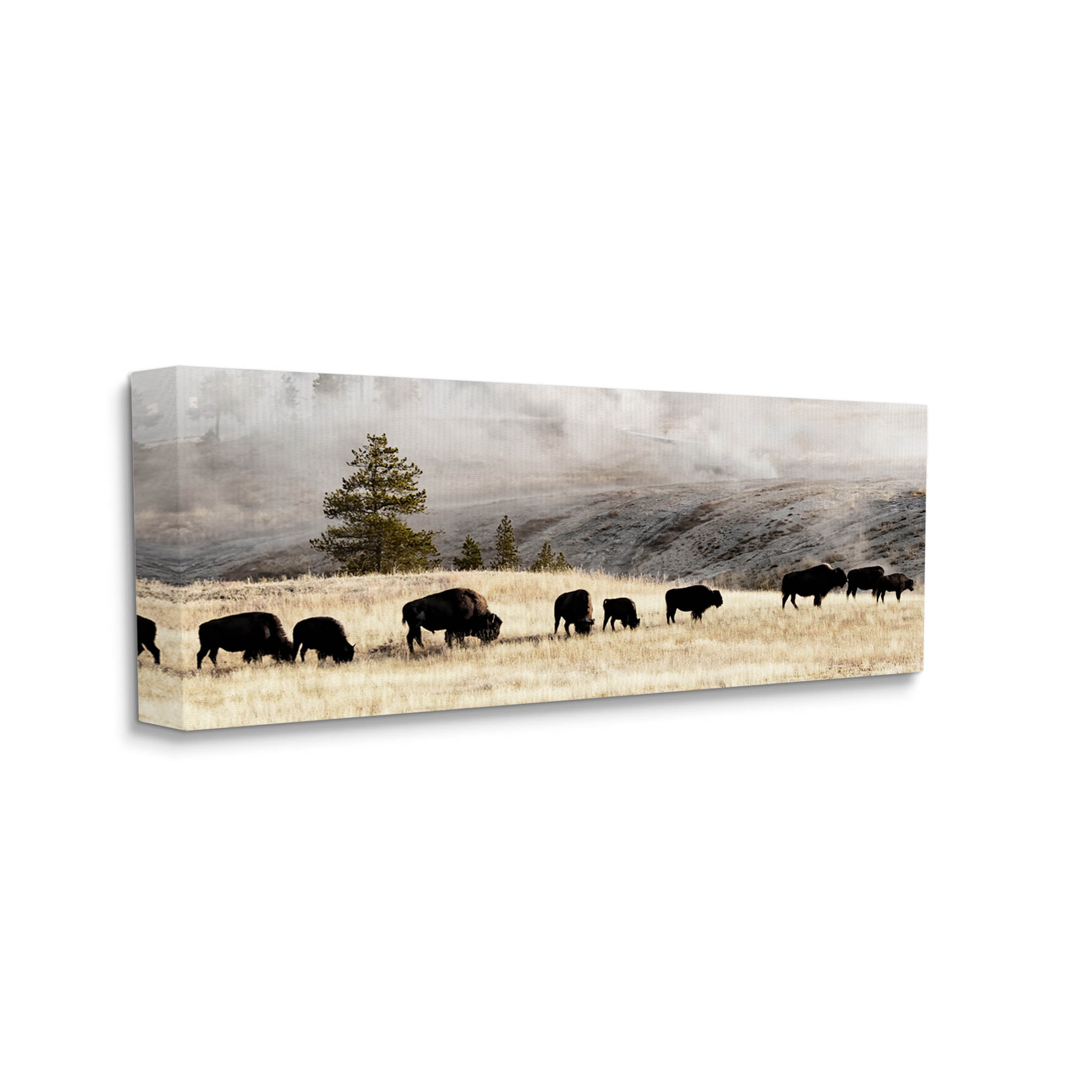 Grazing Bison Rural Country Fog Animals & Insects Photograph Gallery Wrapped Canvas Print Wall Art