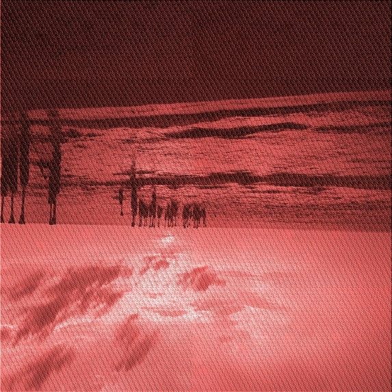 Ahgly Company Machine Washable Indoor Square Transitional Cranberry Red Area Rugs, 6' Square