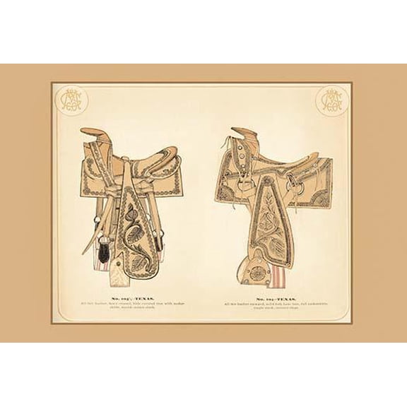 Texas Saddles- Fine Art Canvas Print (20" x 30")