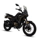 thumbnail image 2 of MOTOCICLETA DAYTONA TERREX 300 GRIS 2027, 2 of 7