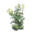 thumbnail image 1 of Caja de reptiles, decoración de plantas de simulación, segura, estable, inofensiva, planta Artificial, 1 of 5