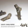 thumbnail image 3 of Miangastore Stromatoporoid Fossils Office Decoration 5Pcs 1.2In, 3 of 8