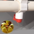 thumbnail image 1 of Tetina para beber agua, 20 piezas Equipo automático para agua de pollos y aves de corral Tetina para beber automática Funcionalidad versátil Jadeshay A, 1 of 8