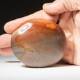 thumbnail image 4 of Polished Polychrome Jasper Palm Crystal From Brazil (141.4 grams), 4 of 4