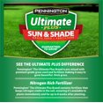 thumbnail image 5 of Pennington Ultimate Plus Sun & Shade Southern Grass Seed and Fertilizer Mix, for Sun to Partial Shade 3 lb., 5 of 10