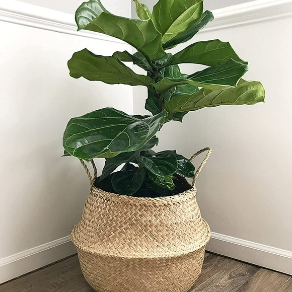 Natural Craft Seagrass Belly Basket Size(12x12x11 inches) for Storage, Laundry, Picnic and Woven Straw Beach Bag - Plant Pots Cover Indoor Decorative…