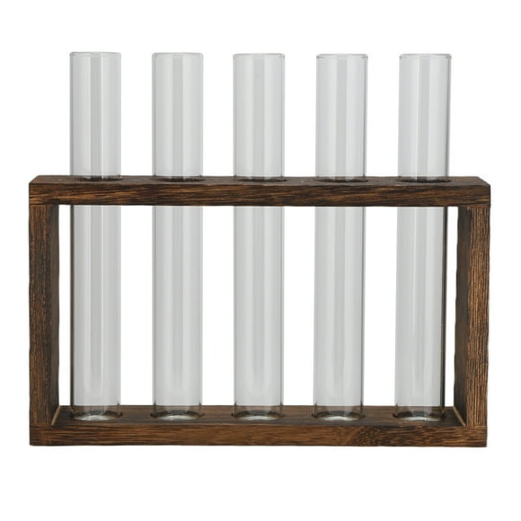 Vase hydroponique de table en verre borosilicate avec cadre en bois de pin, vase rétro pour plantes hydroponiques, décoration d'intérieur, 5 bouteilles