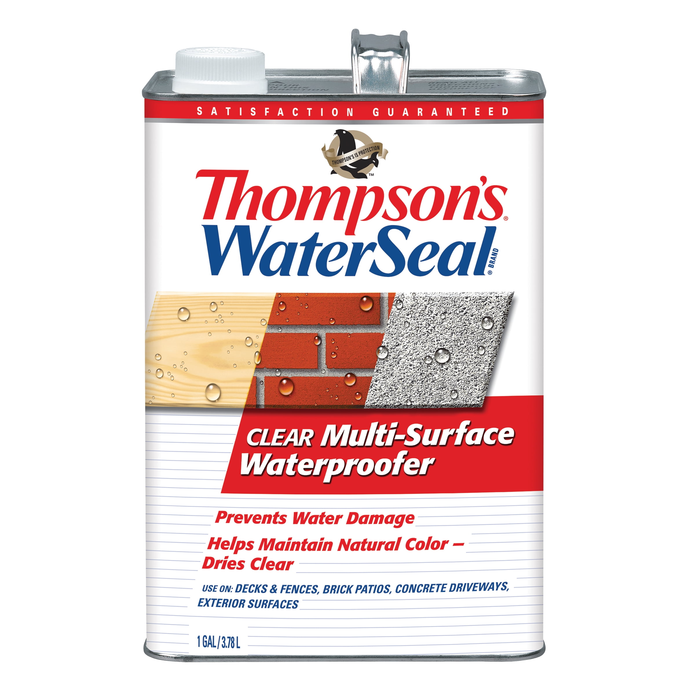 Thompson's WaterSeal Multi-Surface Waterproofer, Clear, 1 Gallon