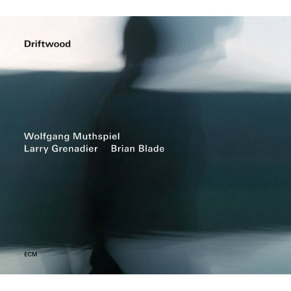 Brian Blade - Driftwood - Jazz - CD
