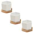 thumbnail image 1 of juegos de macetas para cactus, macetas hexagonales, contenedores para suculentas, macetas de cerámica para suculentas, mini macetas para suculentas, macetas para cactus, 1 of 6