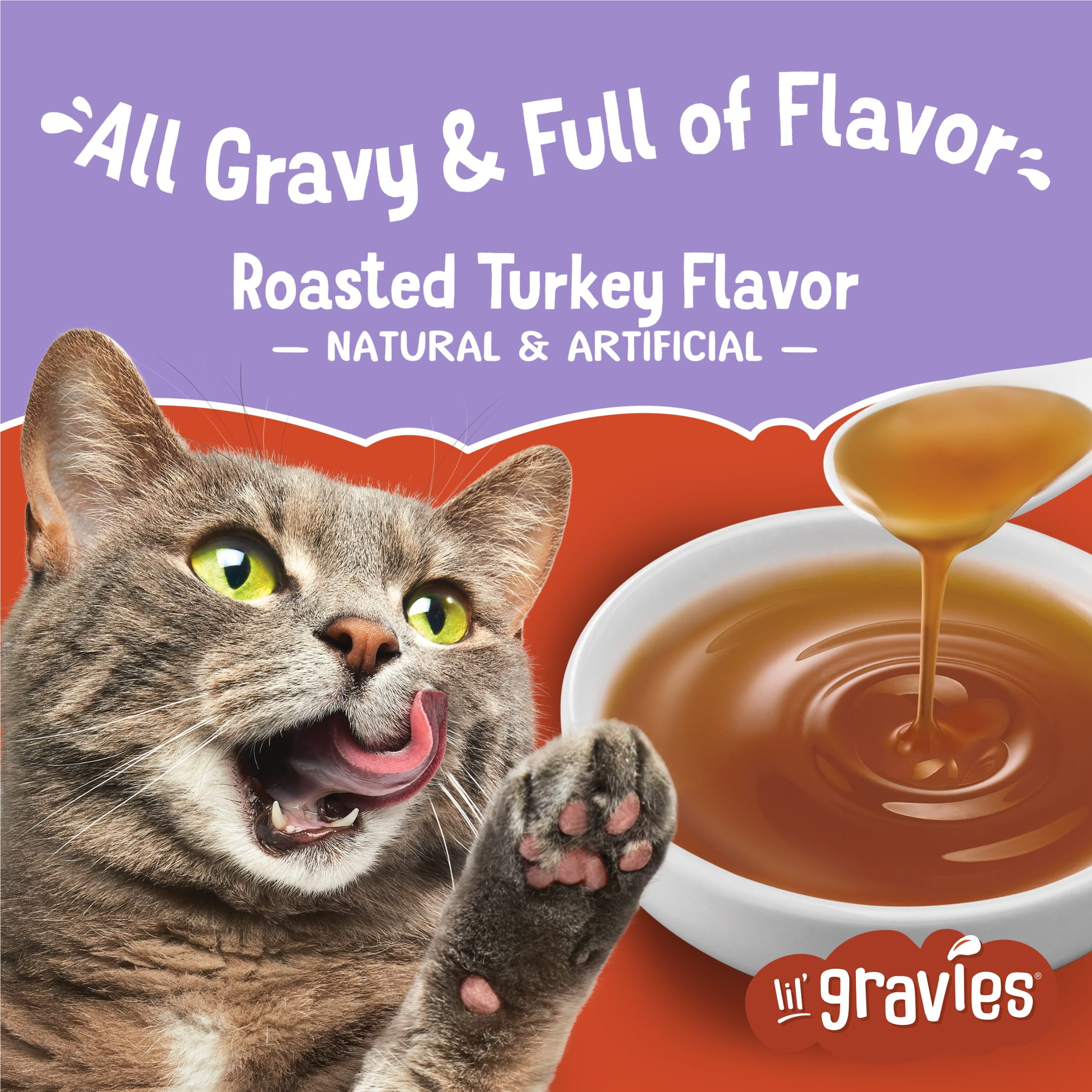 Purina Friskies Lil Gravies, Roasted Turkey Flavor Gravy, Wet Cat Food, 1.55 oz. Pouch