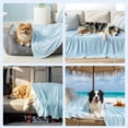 thumbnail image 6 of Cooling Dog Blanket Q-MAX 0.5+ Washable Cold Pet Blankets for Large Dogs Self Cooling Mat for Summer 40x80 Blue, 6 of 9