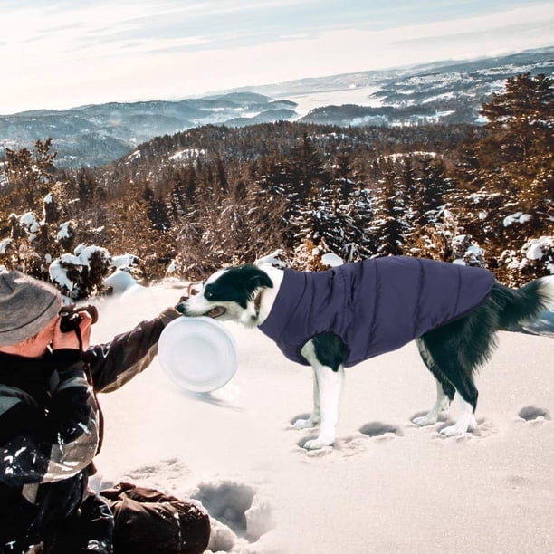 Ropa Impermeable Para Perro Grande, Abrigo Cálido Para Perro Grande