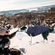 thumbnail image 4 of L, azul Abrigo impermeable para perros Chaleco cálido para perros Ropa para mascotas para clima frío con forro polar de 2 capas para perros pequeños, medianos y grandes, 4 of 5