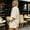*Beige, variant on Women's Linen Blend 2 Piece Outfit,Short Sleeve Button Down Shirt and Elastic Waist Shorts Set Coffee,Women's Plus S