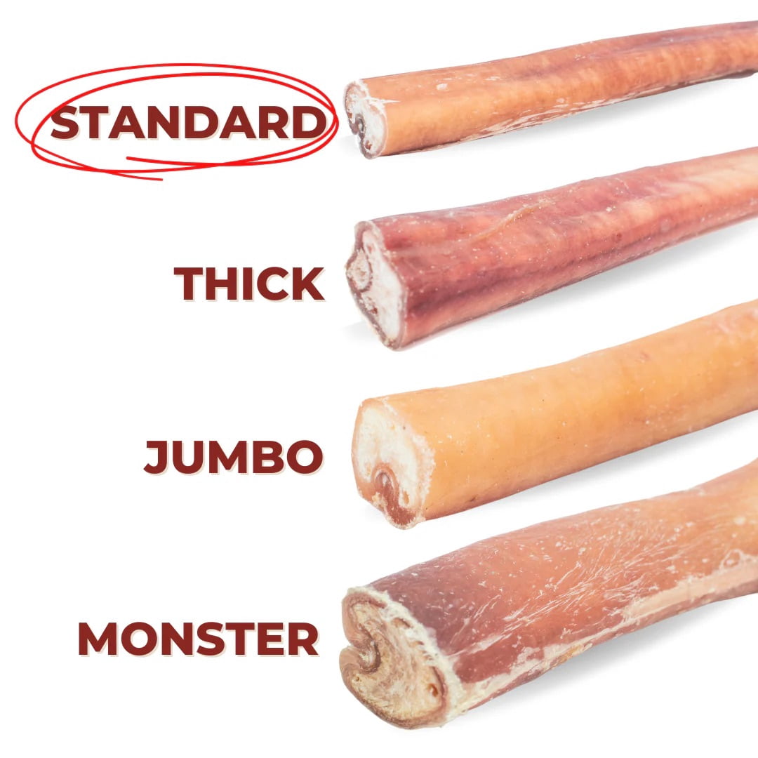 Bully Bunches Premium 12 Inch Standard Bully Stick - 10 Pack