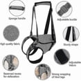 thumbnail image 3 of Dog Sling For Dogs Hind Leg To Rehabilitate The Hind Limbs Of Elderly Dogs With Weak Hind Legs Disabilities, 3 of 5