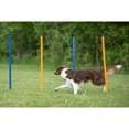 thumbnail image 4 of TRIXIE Dog Agility Slalom Set, Portable Dog Training Poles, Agility Weaving Poles, 12 pcs, 4 of 8