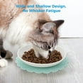 3 Pack Ceramic Cat Bowls, Wide Shallow Cat Food Plates, Prevent Whisker