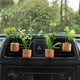 thumbnail image 4 of Mini simulación tridimensional de plantas en macetas con múltiples carnes, simulación de clip para automóvil en maceta, pegatina para refrigerador, corcho de vino tinto, decoración del hogar, 4 of 6