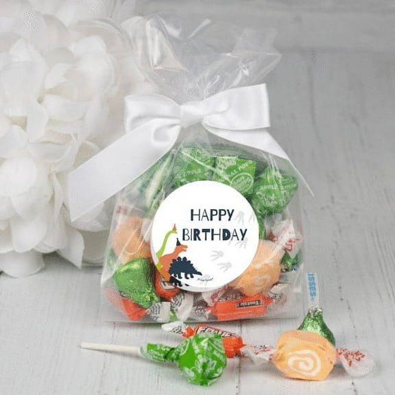 12ct Dinosaur Party Goodie Bags Kids Birthday Candy Filled Favors (12 Pack)