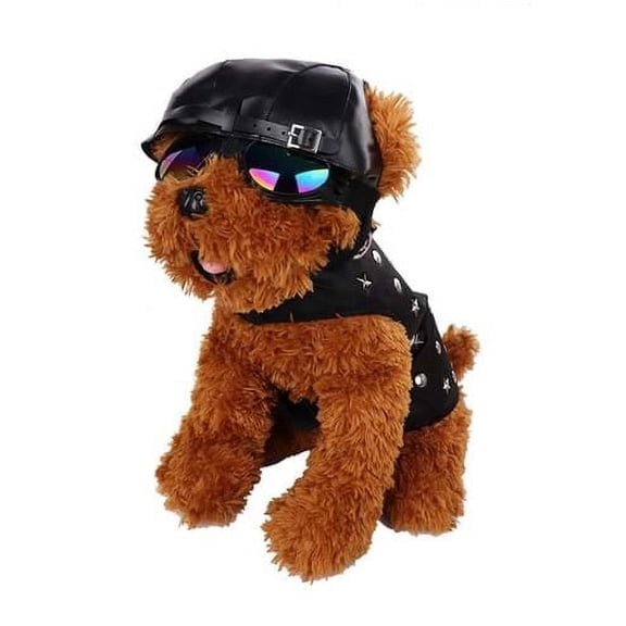 Leatherlike Biker Pet Costume