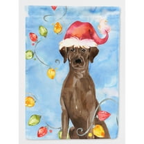 Carolines Treasures CK2506CHF Christmas Lights Chocolate Labrador Retriever Flag Canvas House Size  Large multicolor