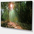 thumbnail image 2 of Amazing Green Forest at Sunset - Landscape Canvas Art Print, 2 of 4