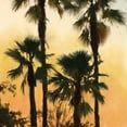 thumbnail image 2 of Novak, Rick 26x26 White Modern Wood Framed Museum Art Print Titled - Morning Palm Tree I, 2 of 4