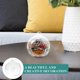 thumbnail image 4 of 12Pcs Household Decorative Globe Terrarium Succulent Hanging Planter Clear Glass Terrarium With Hook, 4 of 4