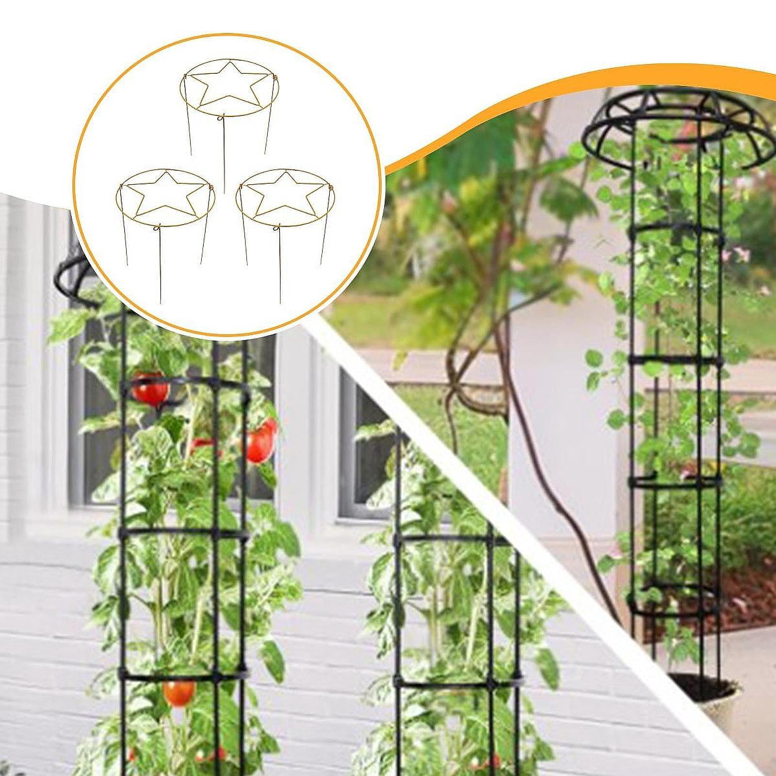 koolsoo 3 Pieces Plant Support Brace Metal Indoor Decorative Potted Flower Garden Ivy Roses Pothos Houseplants Climbing Holder Golden