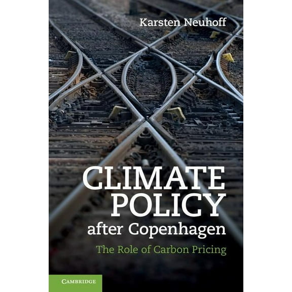 Climate Policy after Copenhagen, (Paperback)