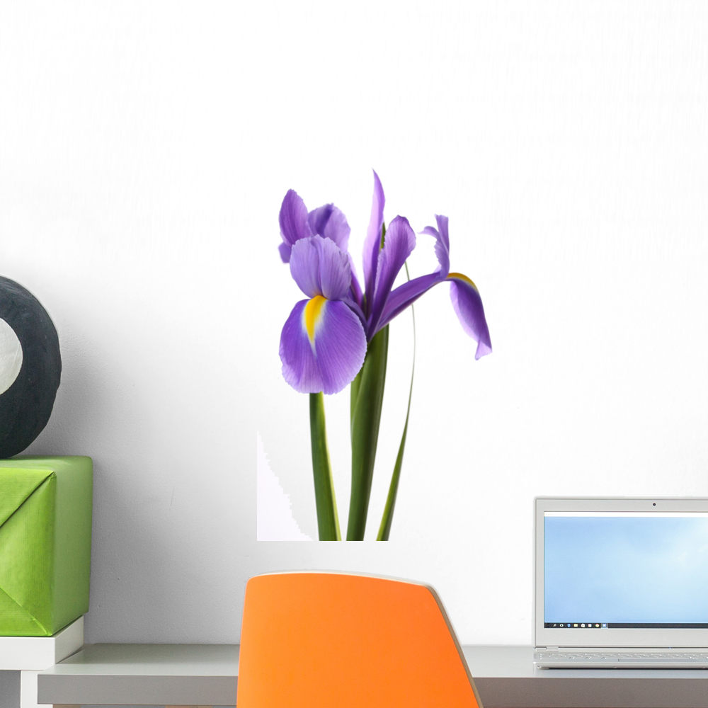 Purple Iris Wall Decal by Wallmonkeys Peel and Stick Graphic (18 in H x